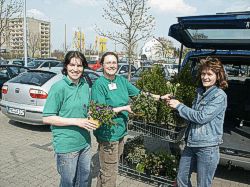 Pflanzaktion Bild
