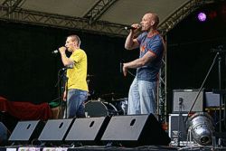 Schönauer Parkfest Bild