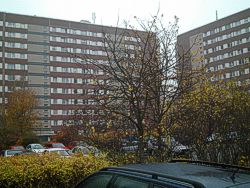 Zingster Straße Bild