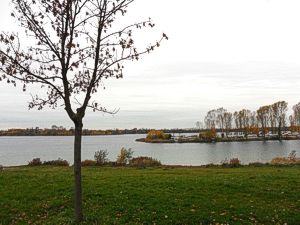 Kulkwitzer See Bild