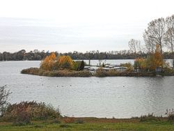 Kulkwitzer See Bild