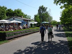 Kulkwitzer See Bild
