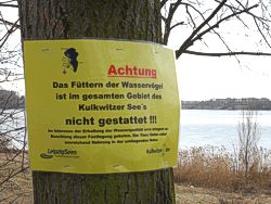 Kulkwitzer See Bild