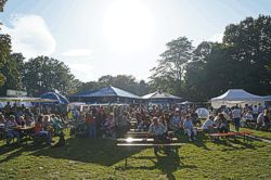 Schönauer Parkfest Bild