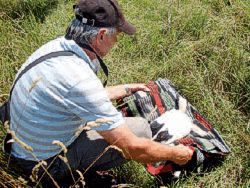 Dietmar Heyder mit Storch Bild