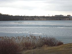 Kulkwitzer See Bild