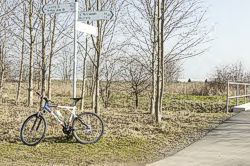 Radweg Bild