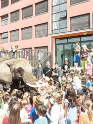Elefant Bild