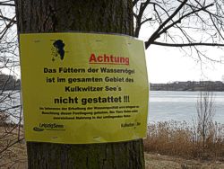 Am Kulkwitzer See Bild