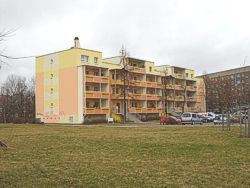 Foto Bild
