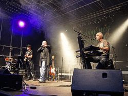 Parkfest Bild