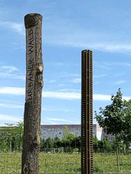 Urbaner Wald Bild