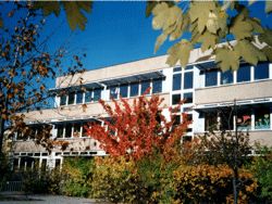 Martinschule Bild