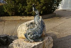 Fischbrunnen Bild