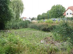 Ehemaliger Dorfteich Bild