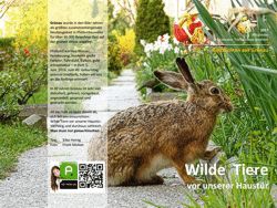Plakat Bild