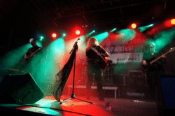 Schönauer Parkfest Bild