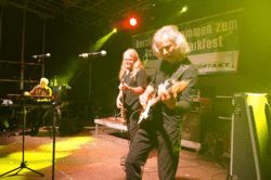 Schönauer Parkfest Bild