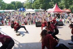 Schönauer Parkfest Bild